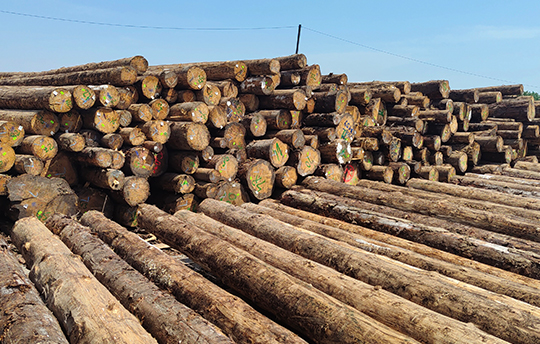 優(yōu)質(zhì)原料